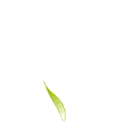 Green heart