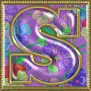 Shian  Avi