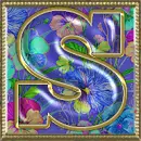 Shian  Avi