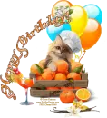 Happy Birthday!