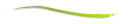 Green divider