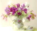 Purple flowers