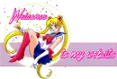 Welcome Sign - Sailor Moon