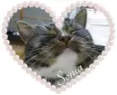 Sonia