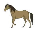 brown horse