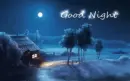good night