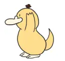 platypus