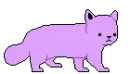 colour cat
