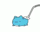 blue cat