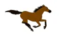 horse