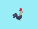 rooster