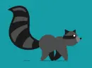 raccoon