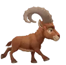 running moufflon