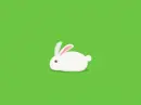 bunny