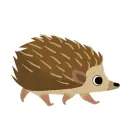 hedgehog