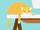 yellow cat