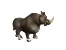 rhinoceros