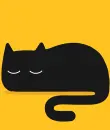 black cat