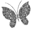 Silver butterfly
