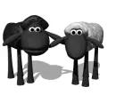 black sheep