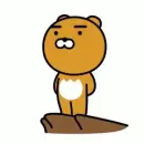 bear