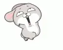 bunny