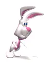 bunny