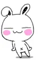 bunny