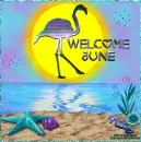 Welcome June 2020