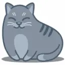 grey cat