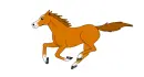 horse