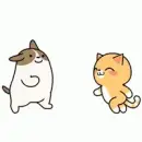 dog and cat