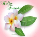 Hello Friends