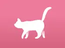 white cat