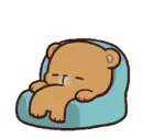 bear sleeping