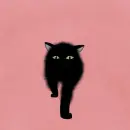 black cat