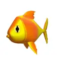 gold fish