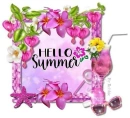Hello Summer - by Robbie