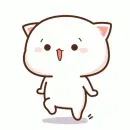white cat