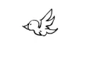 white bird