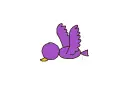 purple bird