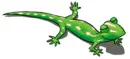 gecko