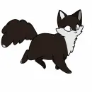 black cat