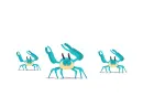 blue crabs