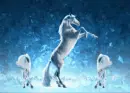 3 unicornis