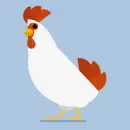hen