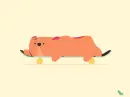 dog with skateboard