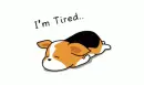 sleeping puppy