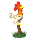 rooster