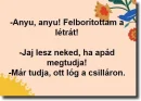 Humor15